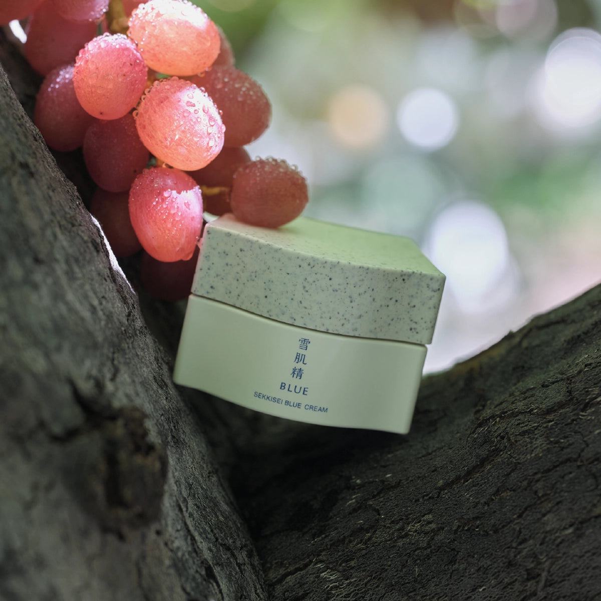 SEKKISEI BLUE Crème