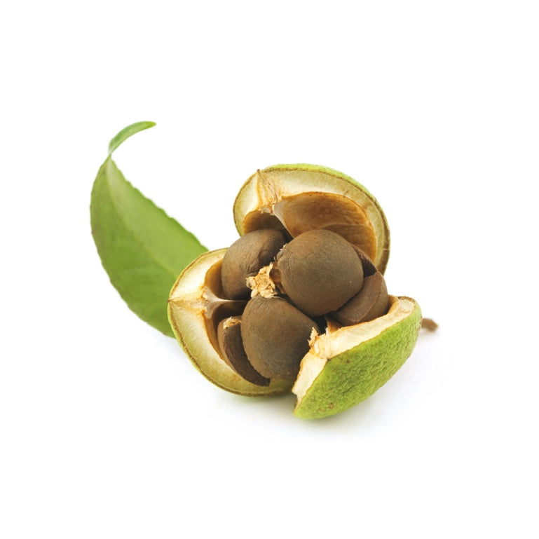 SEKKISEI Blue Huile Équilibrante I