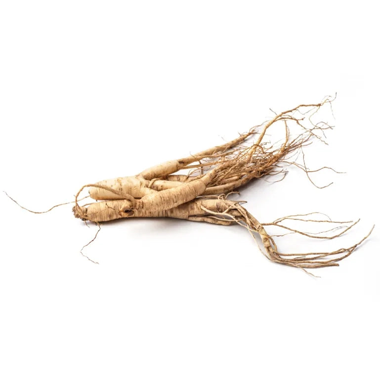 SEKKISEI Blue Crème