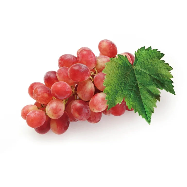 SEKKISEI Blue Crème