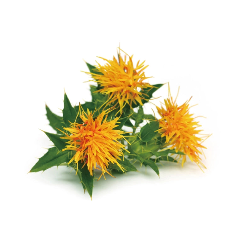 SEKKISEI Blue Huile Équilibrante II