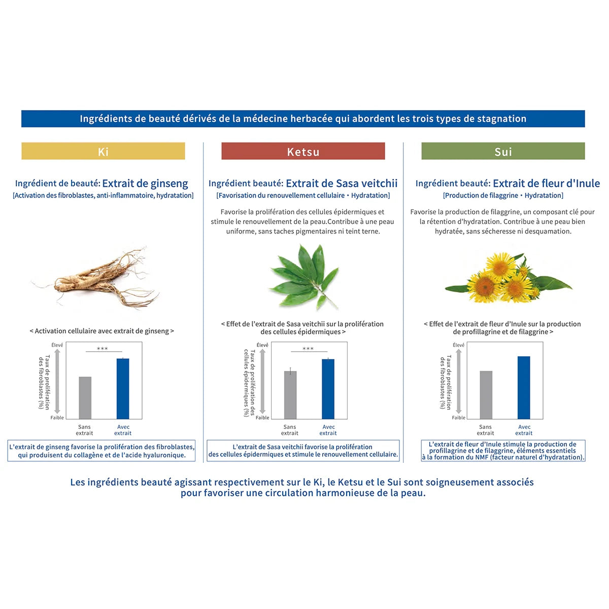 SEKKISEI Blue Huile Équilibrante I