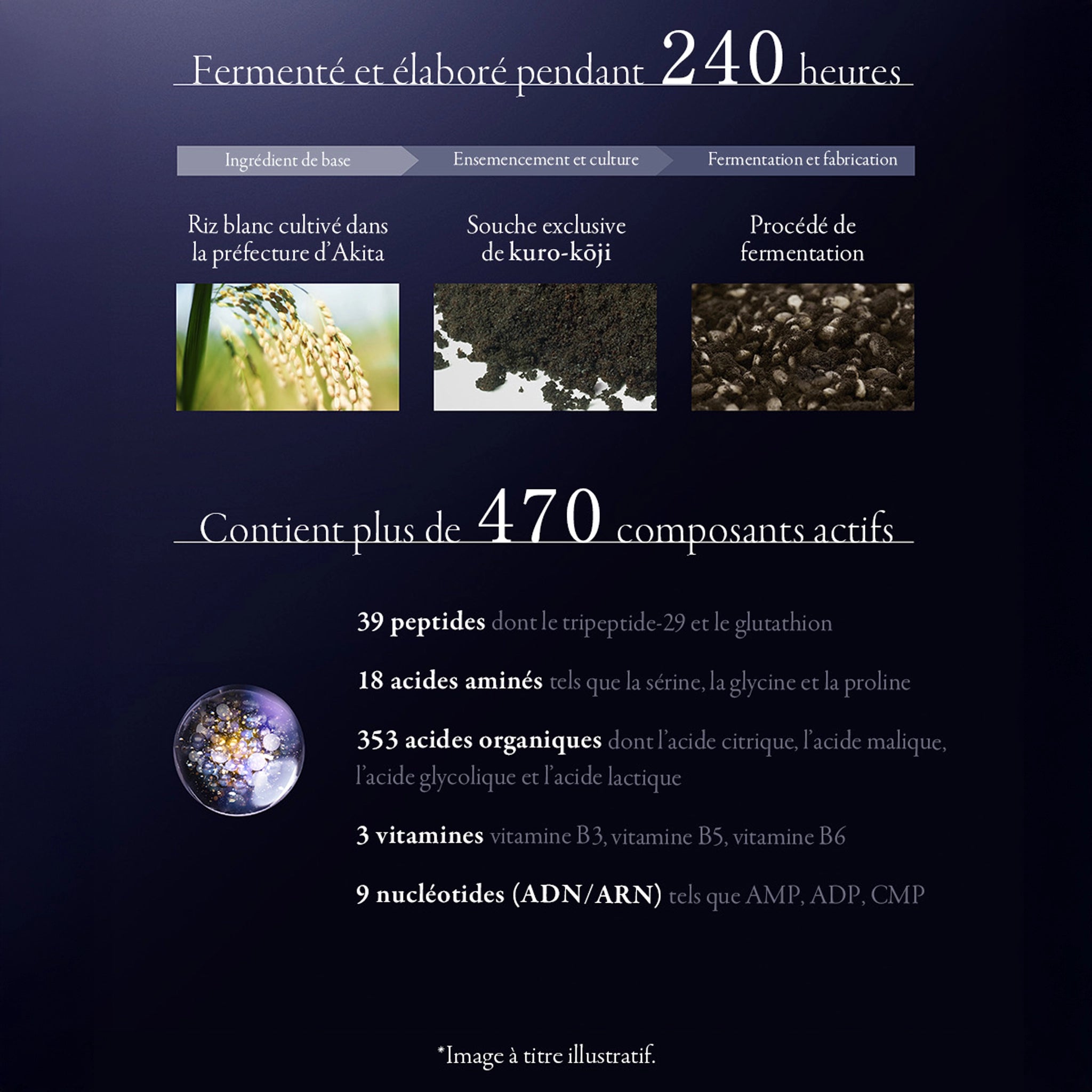 DECORTÉ Essence Hydratante et Liftante, Hautement Concentrée
