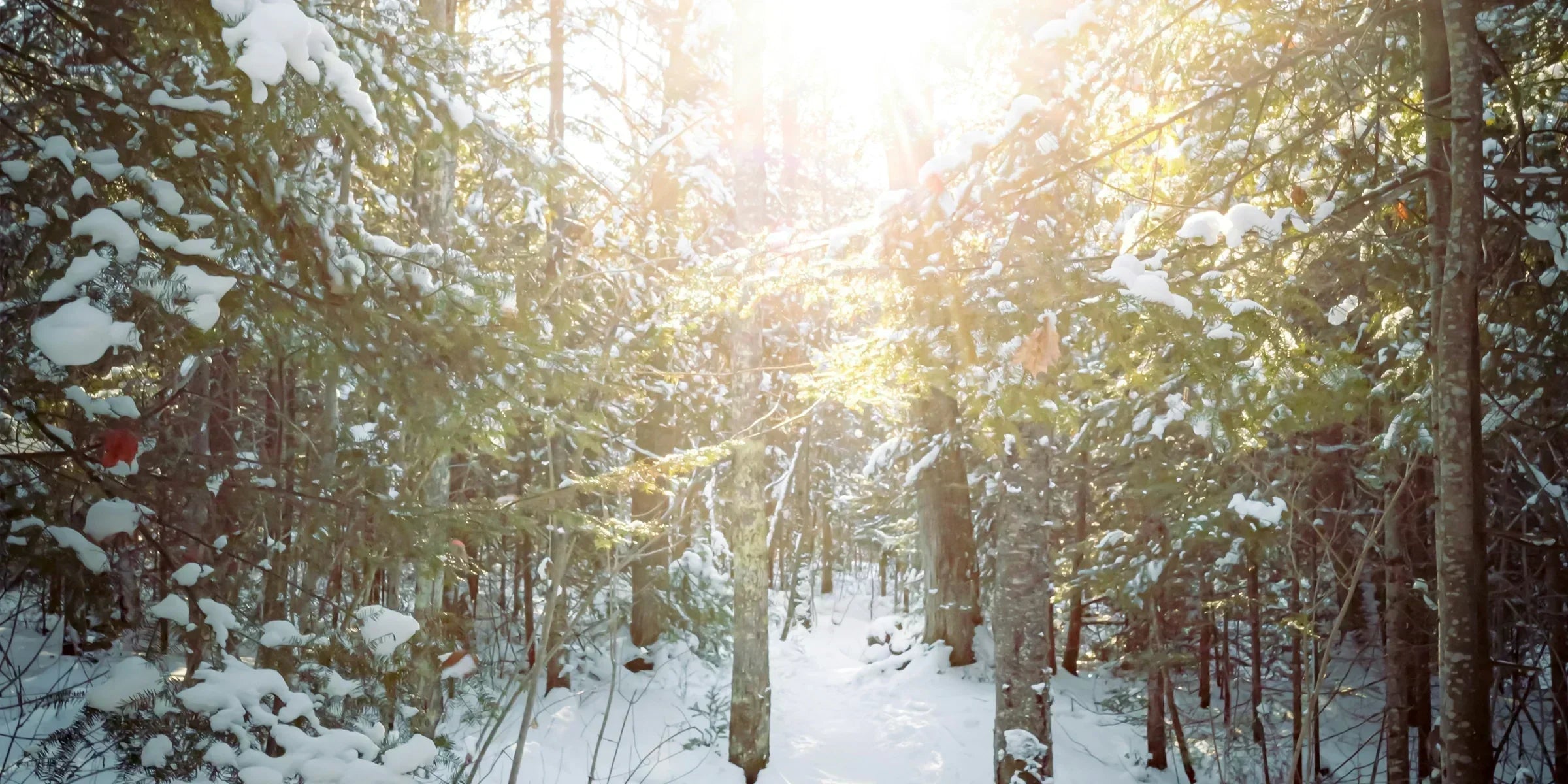 L’art de la slow beauty pour accueillir la nouvelle année