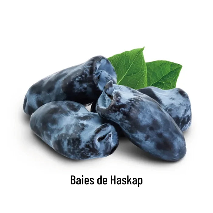 SEKKISEI BLUE Crème