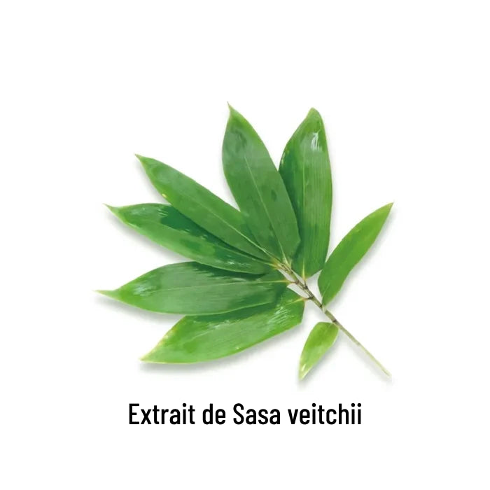 SEKKISEI BLUE Crème