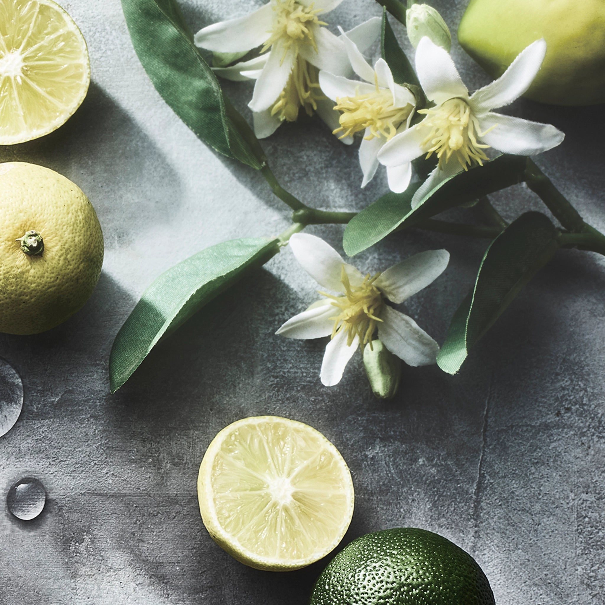 DECORTÉ KIMONO YUI Eau de Toilette