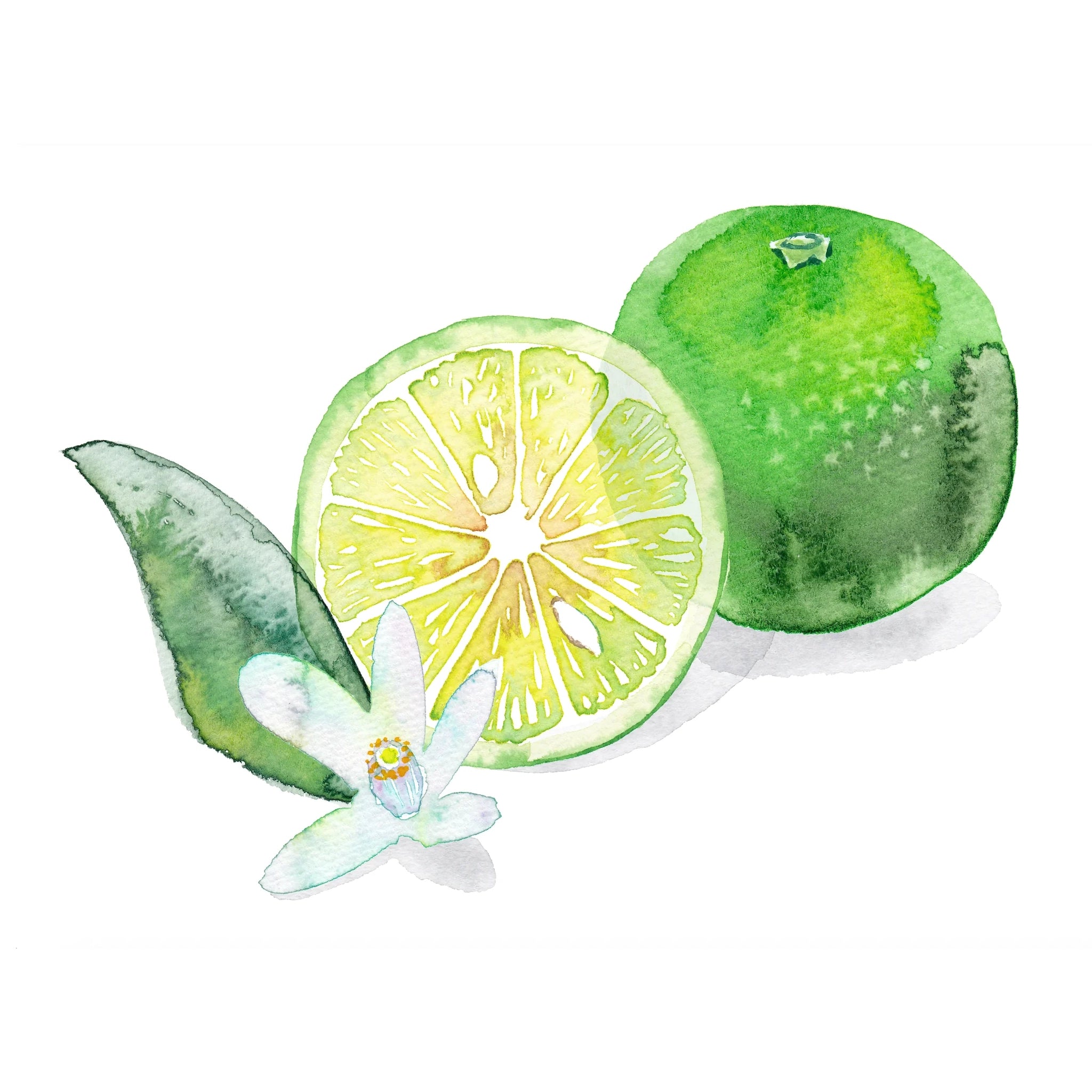 DECORTÉ KIMONO YUI Eau de Toilette