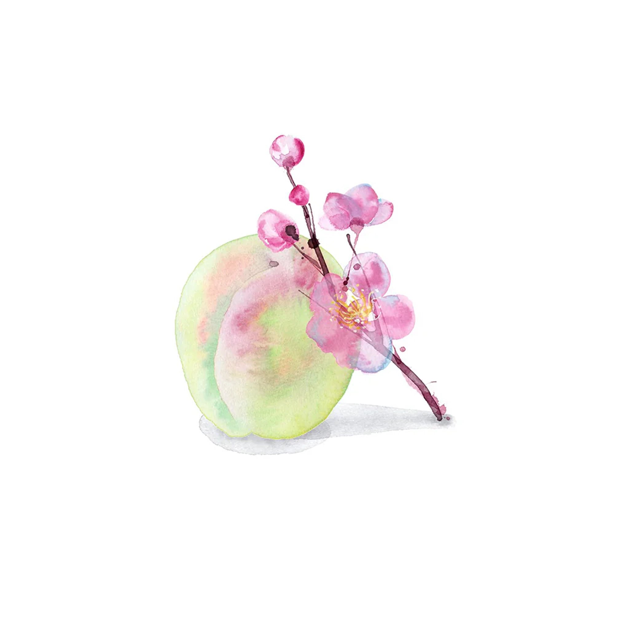 DECORTÉ KIMONO RIN Eau de Toilette